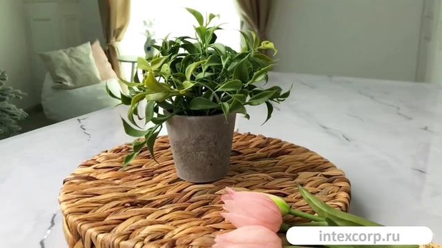 Искусственное растение в горшке ШТАЙН чайный кустик, пластик, 17 см, 2017432-3