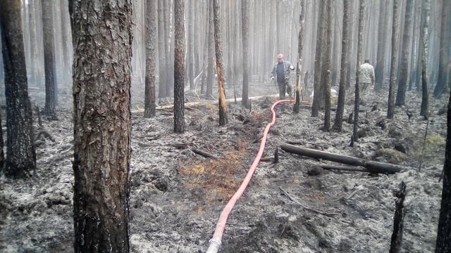 Лесные пожарные: как это было. Часть 4