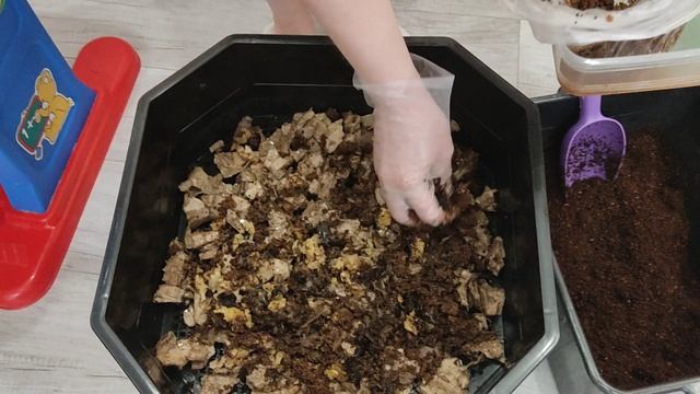 6. Биогумус своими руками. Следующий этап