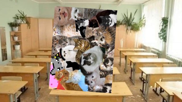 ᴛоᴛ ᴄᴀʍый ʍой ᴋᴧᴀᴄᴄ: