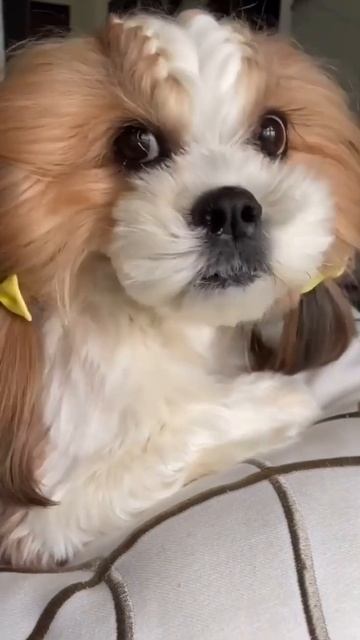 video_2026-02-25_09-42-14