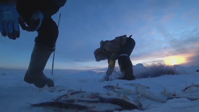 РЫБАЛКА НА СЕТИ. РЯПУШКА ДЕНЬ ВТОРОЙ. УЛОВ ЕСТЬ