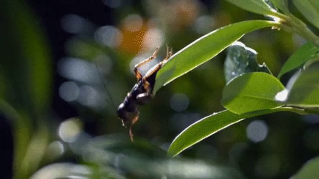 65312267f24a62976c5097b3b1ed9f4c_399826_1745309738.mp4