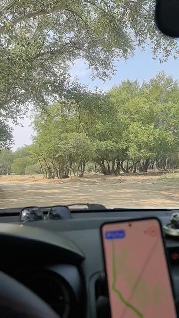 Дорога к бархану Сарыкум 2025г.