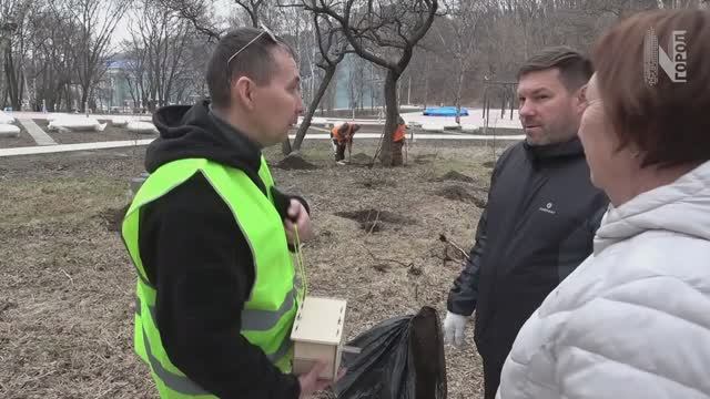 Молодые берёзки | Роща | Находка