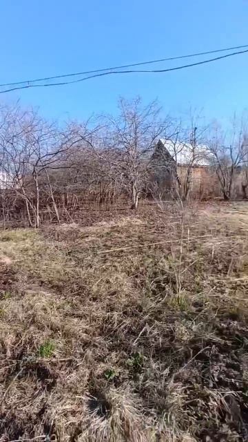 Видеообзор