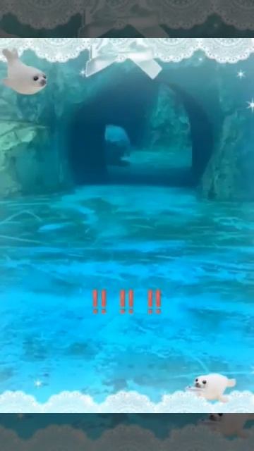 я новый блогер