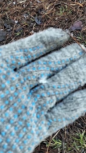 Природа просыпается 🌿