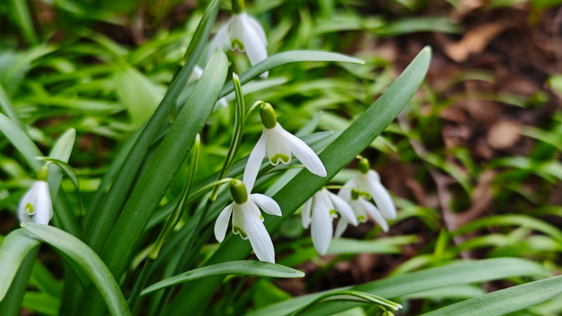 Апрельское настроение