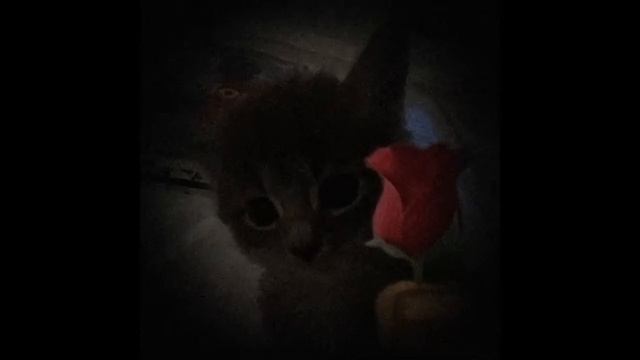 S0rrrow - fake ur face(speed up)