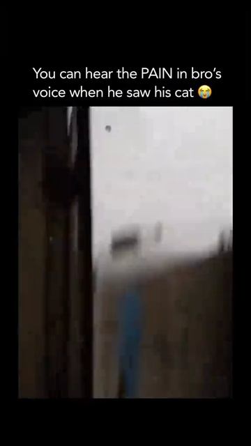 Смешное видео