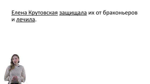 Простые и сложные предложения