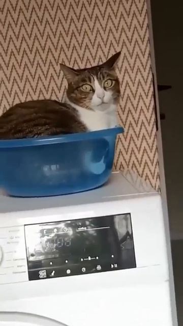 Клип @men_mne_eto_nravitsa