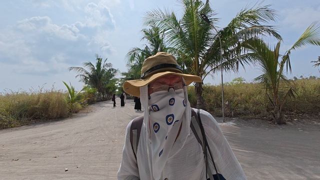 09. Мальдивы Ноябрь 2025. Остров Тодду. Пальмовая аллея и дорога вокруг острова