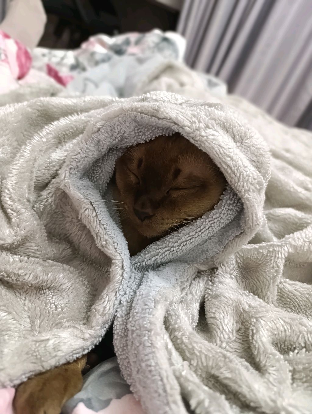 грвм , в школу , что бы писать ВПР!