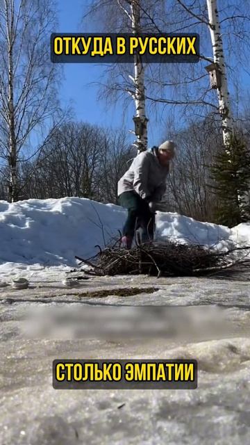 Откуда в русских столько симпатии