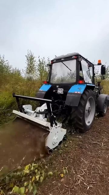 Как расчистить заросшее поле #фермер #агротехнологии #фермерство