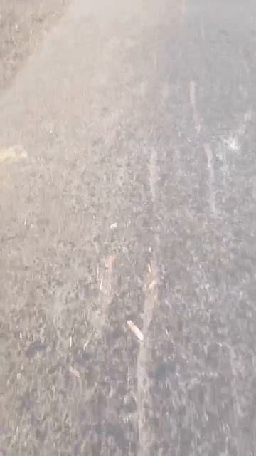 нам пишут ✒