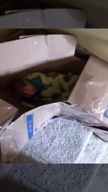 Когда папа весь день присматривает за детьми