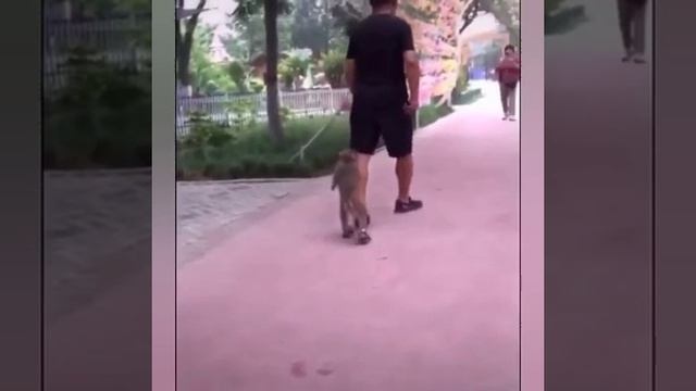 YouCut_20260422_183511615.mp4