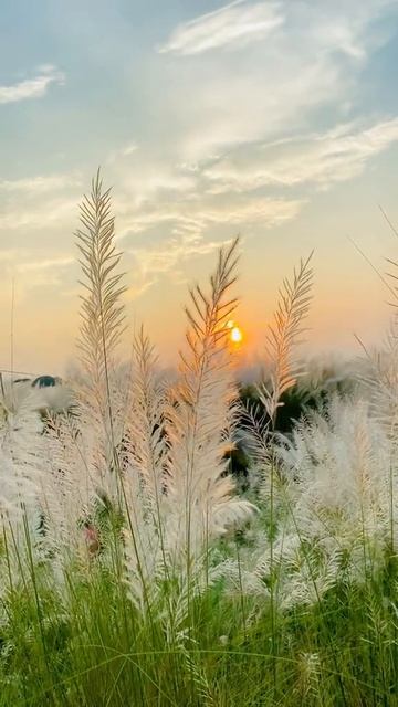 #katyboro #видеооткрытка      #рекомендации #врек #топ #врекомендации