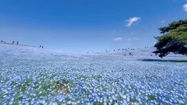 Сезон магии🌏