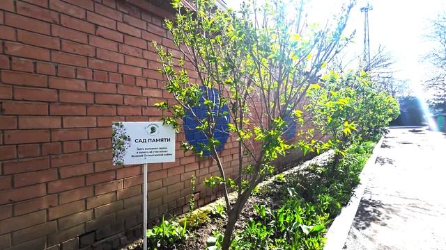 09.04.2026_INFOPOLE_Светлячок_Ярмарка_4