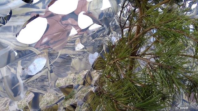 С подсадной уткой Маринкой весной💪 Отлично поохотились