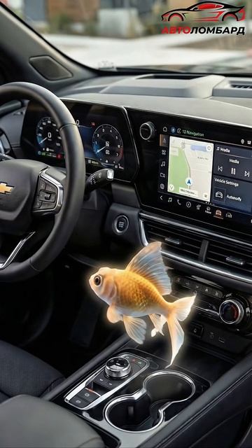 Автоломбард исполняет желания своих клиентов !