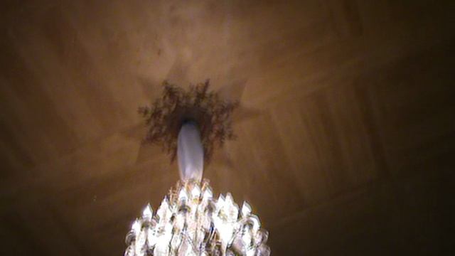 65)D ВОРОНЦОВЫЙ ДВОРЕЦ ВНУТРИ МАМА И ВИОЛЕТТА