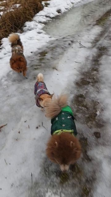 Команда 🅰️