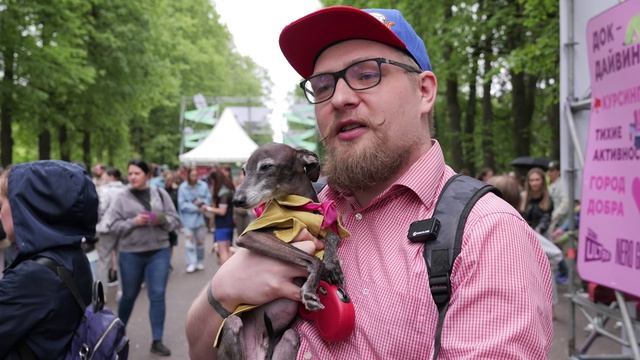 Отчётный ролик PETSHOSDAY