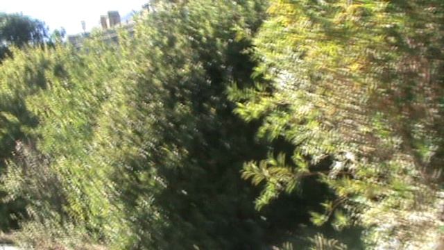 85)D ВОРОНЦОВЫЙ ДВОРЕЦ НАРУЖУ ТЕРРИТОРИЯ