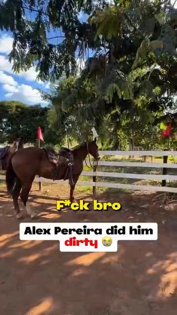 😄Перейра пранкер.