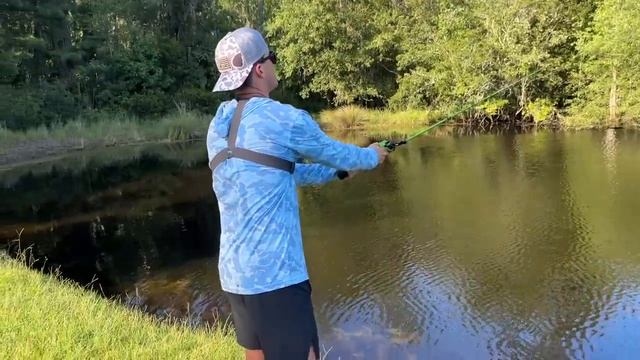 FISHING WITH LIVEBAIT FOR POND MONSTERS