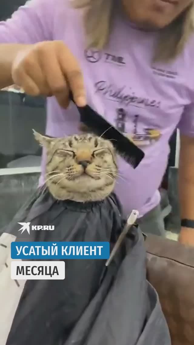 Усатый клиент месяца