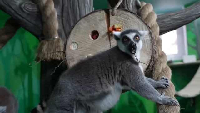 Видео от Телеканал 