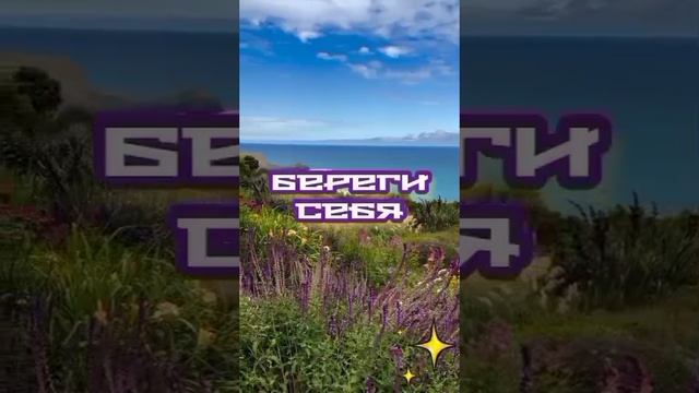 VID_20260422_205131_144.mp4