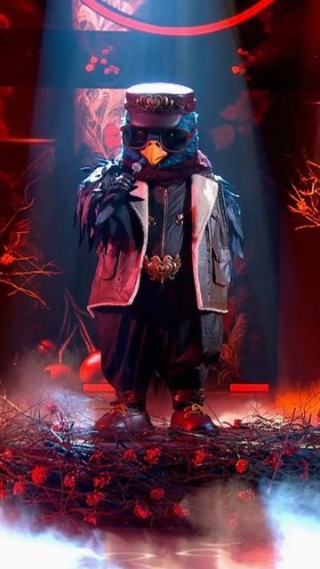 За окошком Снегири