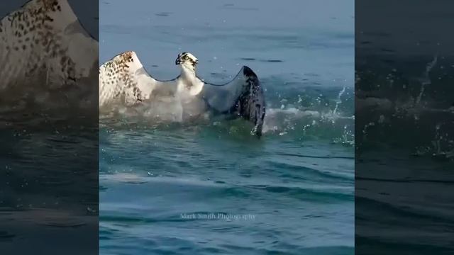 VID_20260421_222337_645.mp4