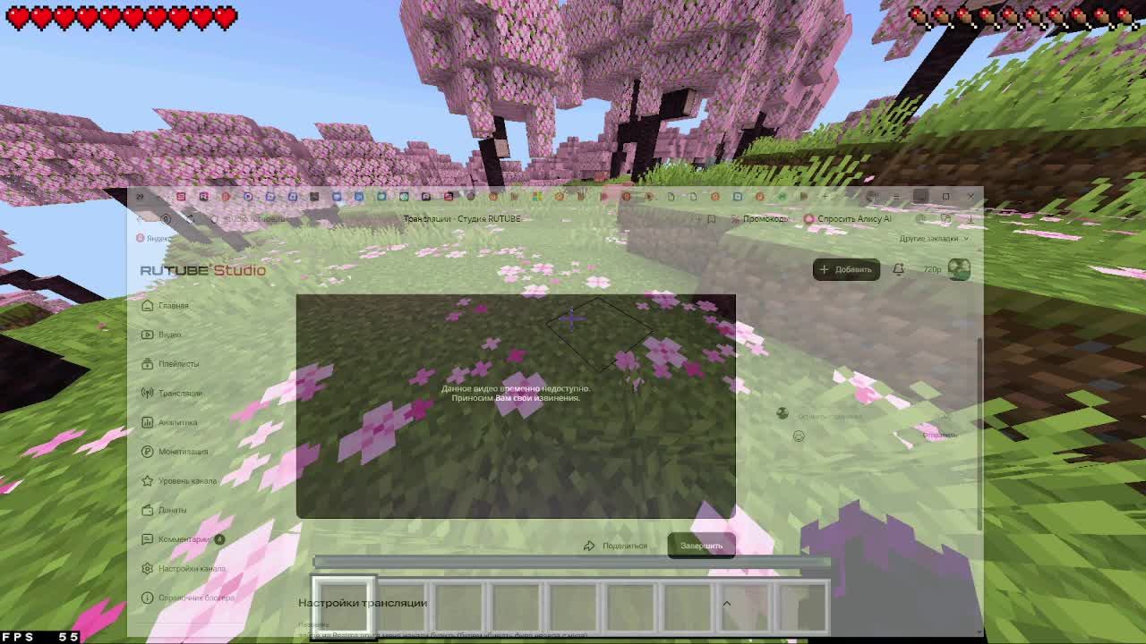 зайдя на Realms друга меня начали булить (будем убивать фулл незера с нуля)