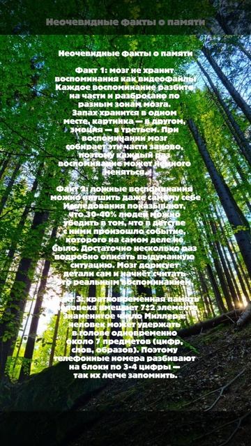 Неочевидные факты о памяти которые ты точно не знал!