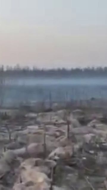 Дызя - Турникет и два непофама