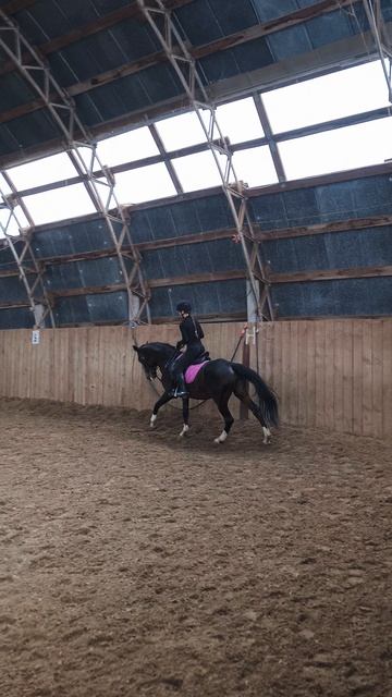 Вика и Флейта, галоп по стенке в манеже.