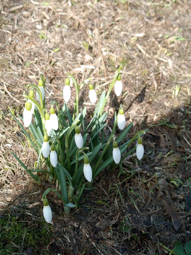 Всем привет!