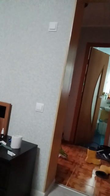 пять ночей с анонимусом ночь 1