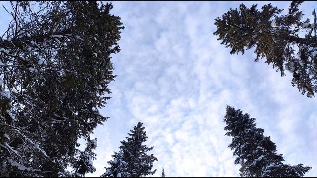 П. Коэльо. Об оценке по результатам. Притча 115. Книга Воина Света