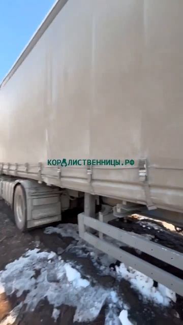 Погрузка коры лиственницы