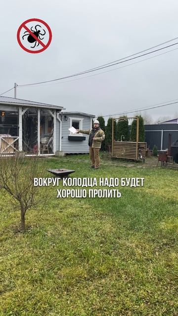 Больная для многих тема — клещи 😱