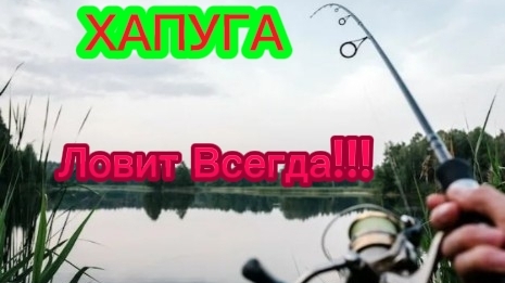 Без этой снасти на рыбалку не ногой. Снасть которая ловит 👍